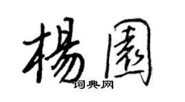 王正良杨园行书个性签名怎么写