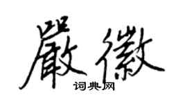 王正良严徽行书个性签名怎么写