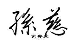 王正良孙慈行书个性签名怎么写