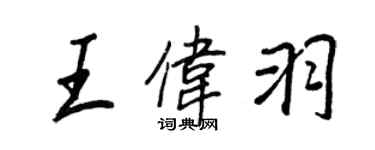 王正良王伟羽行书个性签名怎么写