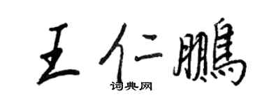 王正良王仁鹏行书个性签名怎么写