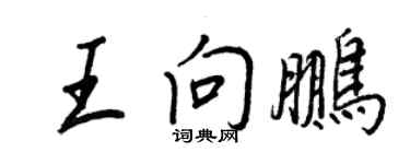 王正良王向鹏行书个性签名怎么写
