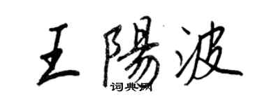 王正良王阳波行书个性签名怎么写