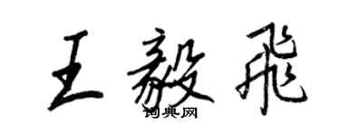 王正良王毅飞行书个性签名怎么写