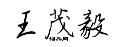 王正良王茂毅行书个性签名怎么写