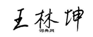王正良王林坤行书个性签名怎么写