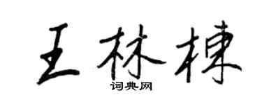 王正良王林栋行书个性签名怎么写