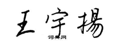 王正良王宇扬行书个性签名怎么写