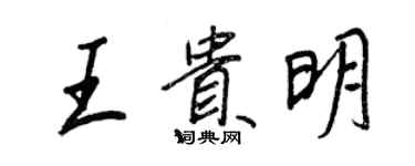 王正良王贵明行书个性签名怎么写