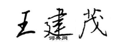 王正良王建茂行书个性签名怎么写