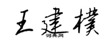 王正良王建朴行书个性签名怎么写