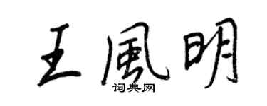 王正良王风明行书个性签名怎么写