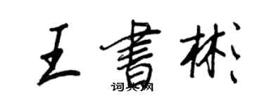 王正良王书彬行书个性签名怎么写