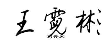 王正良王霓彬行书个性签名怎么写