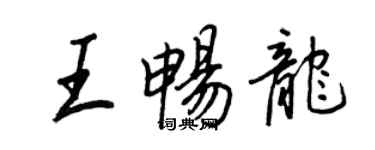 王正良王畅龙行书个性签名怎么写