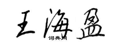 王正良王海盈行书个性签名怎么写