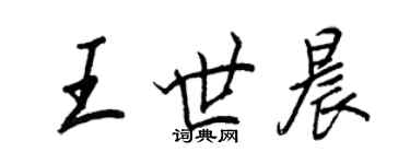 王正良王世晨行书个性签名怎么写