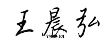 王正良王晨弘行书个性签名怎么写