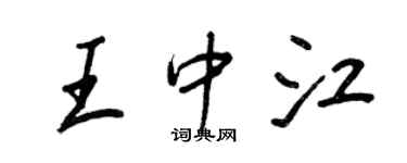 王正良王中江行书个性签名怎么写
