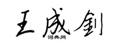 王正良王成剑行书个性签名怎么写