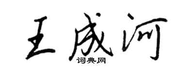 王正良王成河行书个性签名怎么写
