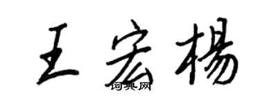王正良王宏杨行书个性签名怎么写