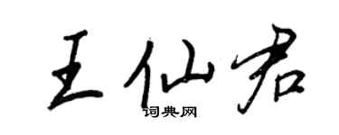 王正良王仙君行书个性签名怎么写