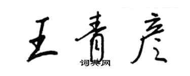 王正良王青彦行书个性签名怎么写