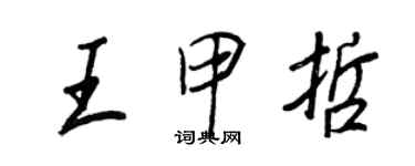 王正良王甲哲行书个性签名怎么写
