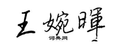 王正良王婉晖行书个性签名怎么写