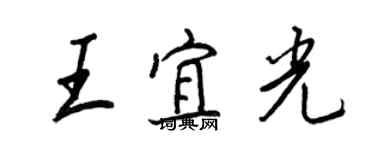 王正良王宜光行书个性签名怎么写