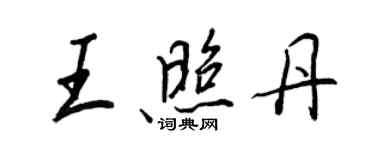 王正良王照丹行书个性签名怎么写
