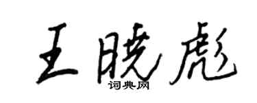 王正良王晓彪行书个性签名怎么写