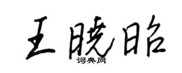 王正良王晓昭行书个性签名怎么写