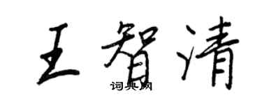 王正良王智清行书个性签名怎么写