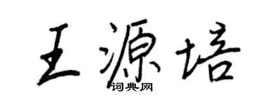 王正良王源培行书个性签名怎么写