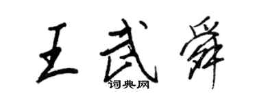 王正良王武舜行书个性签名怎么写