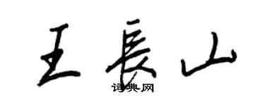 王正良王长山行书个性签名怎么写
