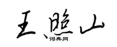 王正良王照山行书个性签名怎么写