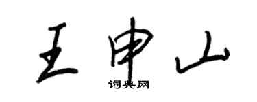 王正良王申山行书个性签名怎么写