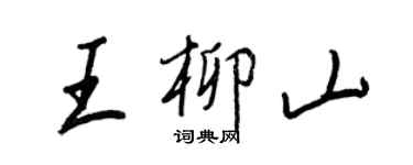 王正良王柳山行书个性签名怎么写