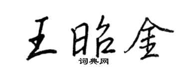 王正良王昭金行书个性签名怎么写