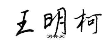 王正良王明柯行书个性签名怎么写