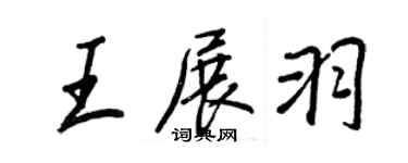 王正良王展羽行书个性签名怎么写