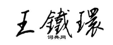 王正良王铁环行书个性签名怎么写