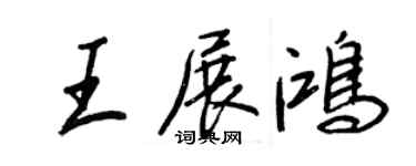 王正良王展鸿行书个性签名怎么写