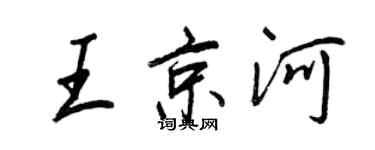 王正良王京河行书个性签名怎么写