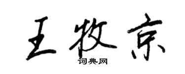 王正良王牧京行书个性签名怎么写