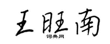 王正良王旺南行书个性签名怎么写