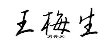 王正良王梅生行书个性签名怎么写